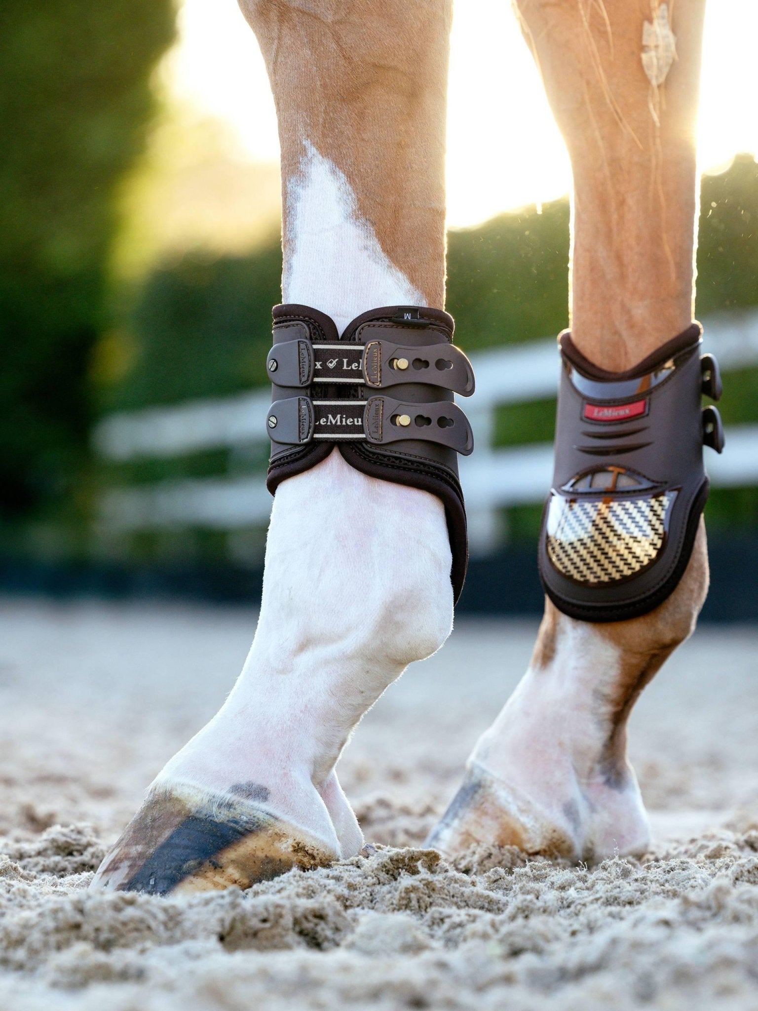 LeMieux Exo - Flex® Fetlock Boot - Nags Essentials