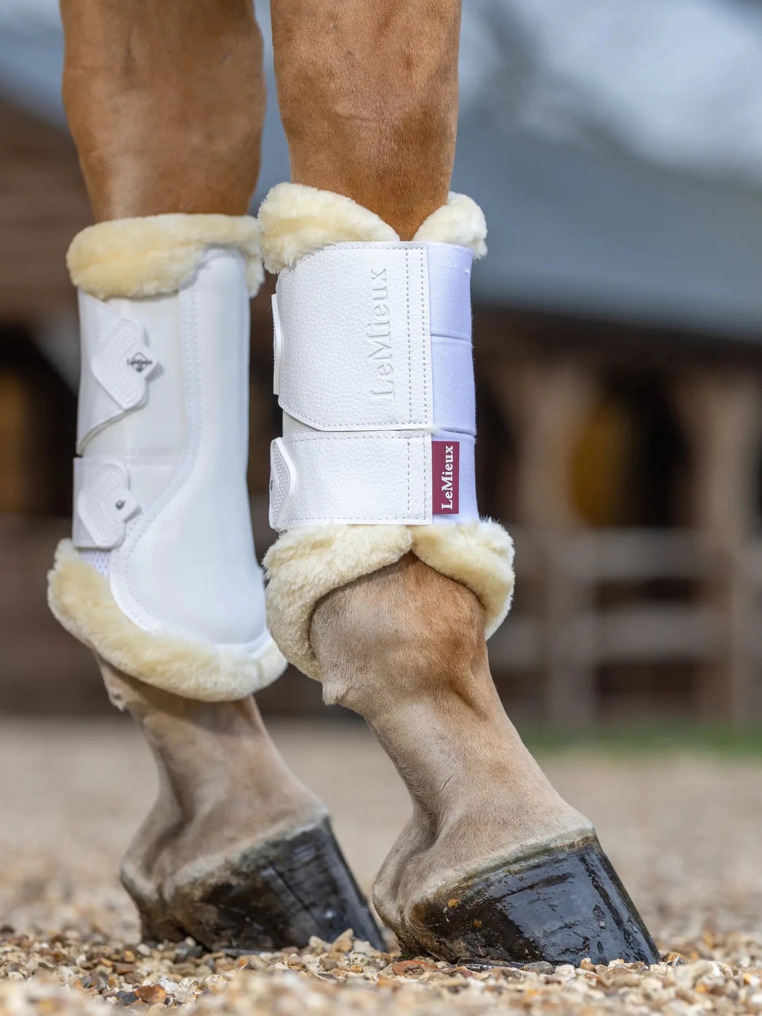 LeMieux Fleece Edged Mesh Brushing Boots - Nags Essentials