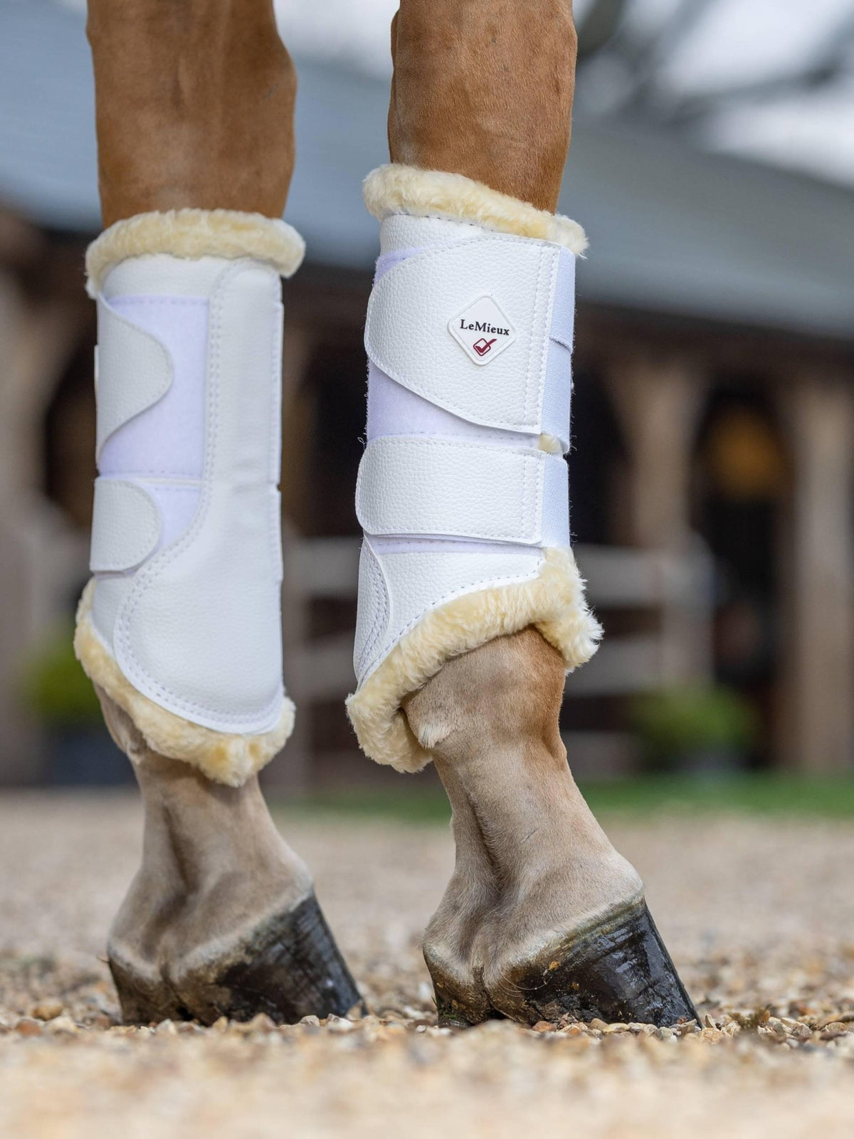 LeMieux Fleece Lined Brushing Boots - Nags Essentials