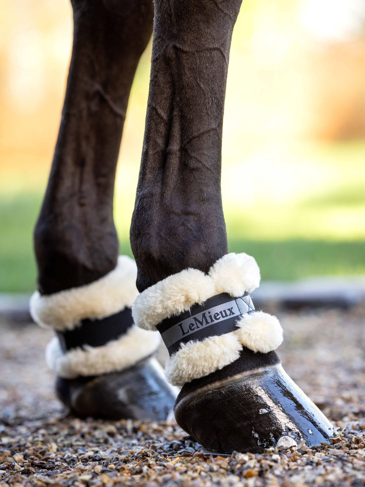 Lemieux Fleece Pastern Wrap Black - Nags Essentials