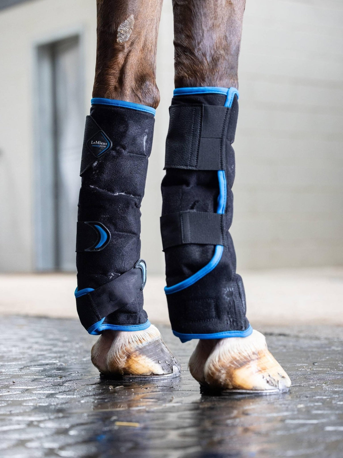 LeMieux Freeze Flow Ice Boot Front - Black - Nags Essentials