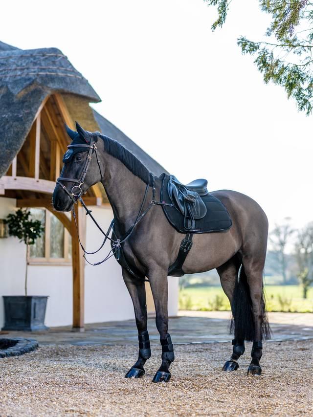 LeMieux GP Work Pad - Nags Essentials