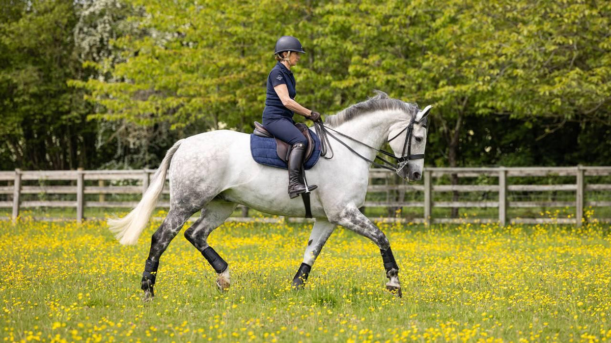 LeMieux GP Work Pad - Nags Essentials