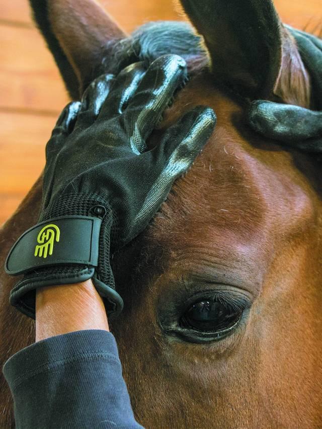 LeMieux Hands On Glove - Nags Essentials
