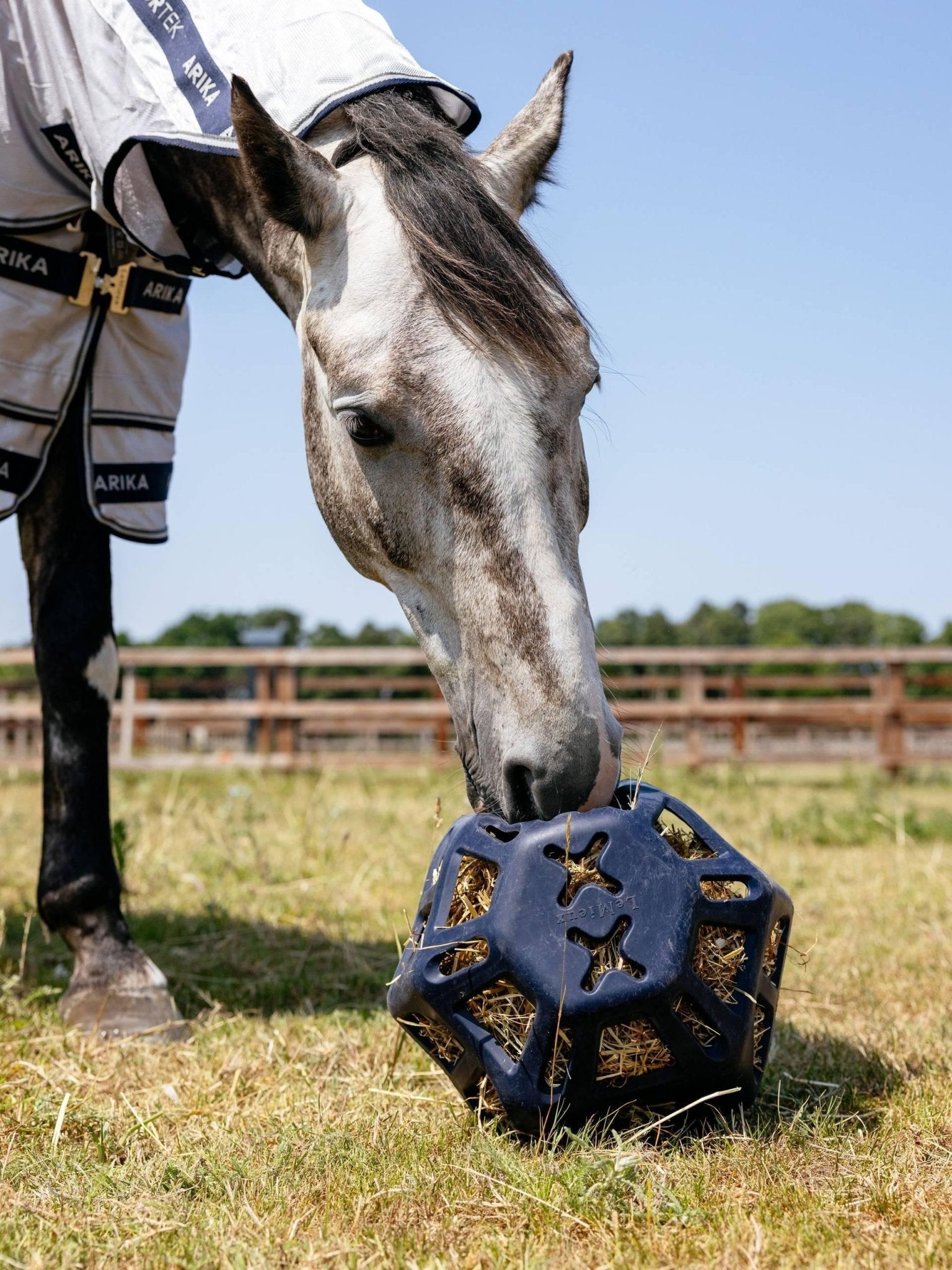 Lemieux Hay Ball - Nags Essentials