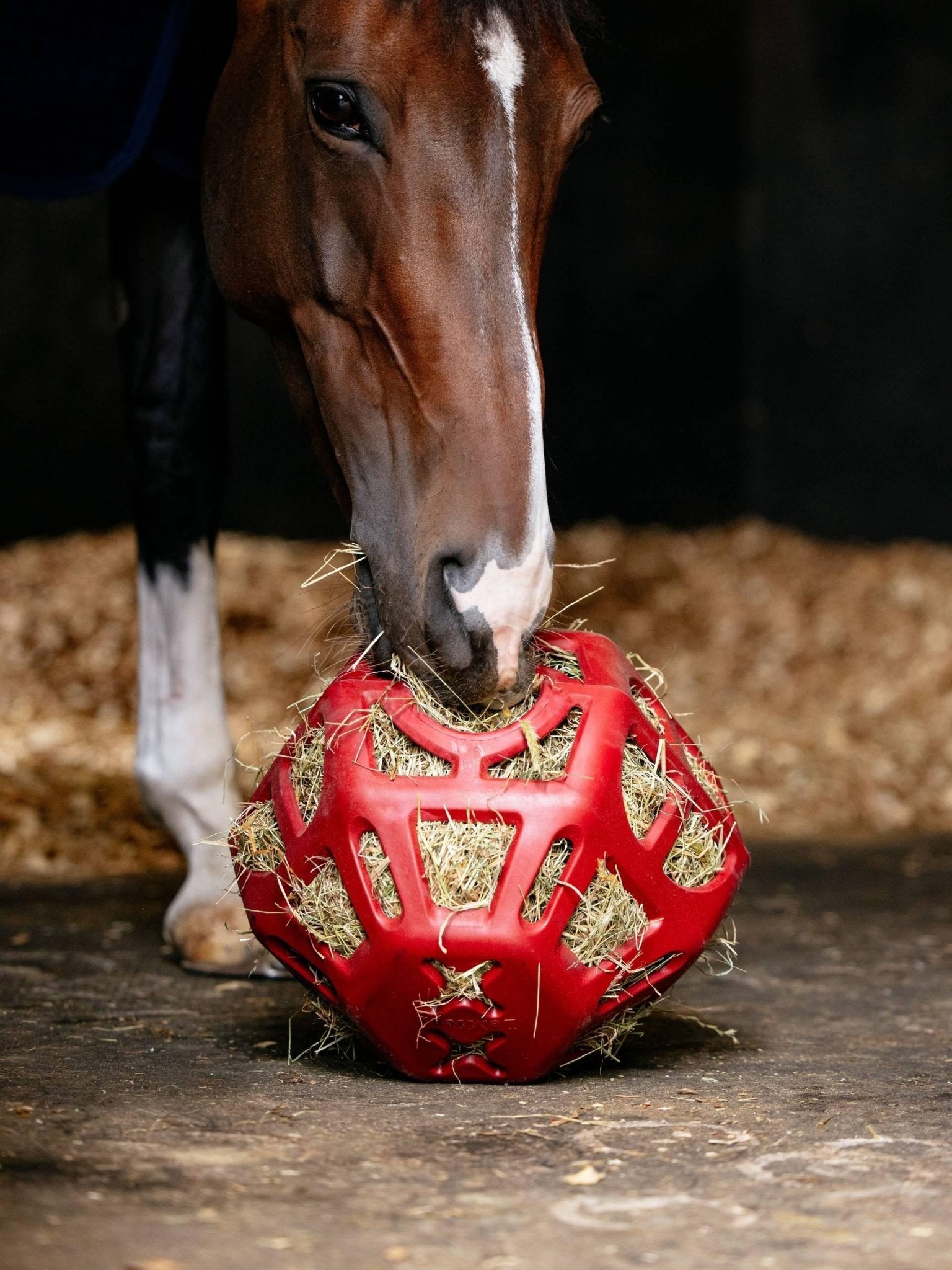 Lemieux Hay Ball - Nags Essentials