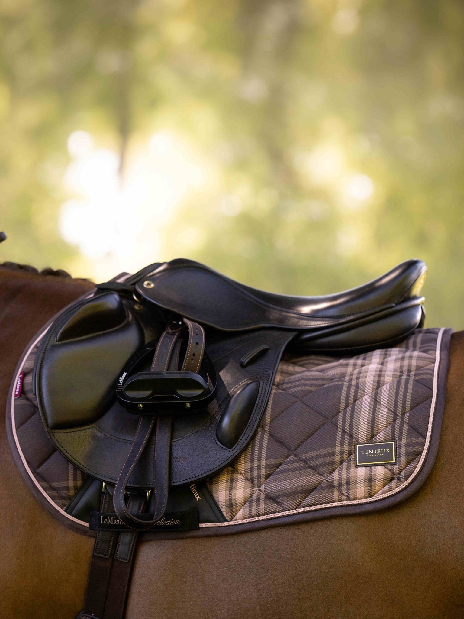 LeMieux Heritage Check Jump Square Cocoa - Nags Essentials