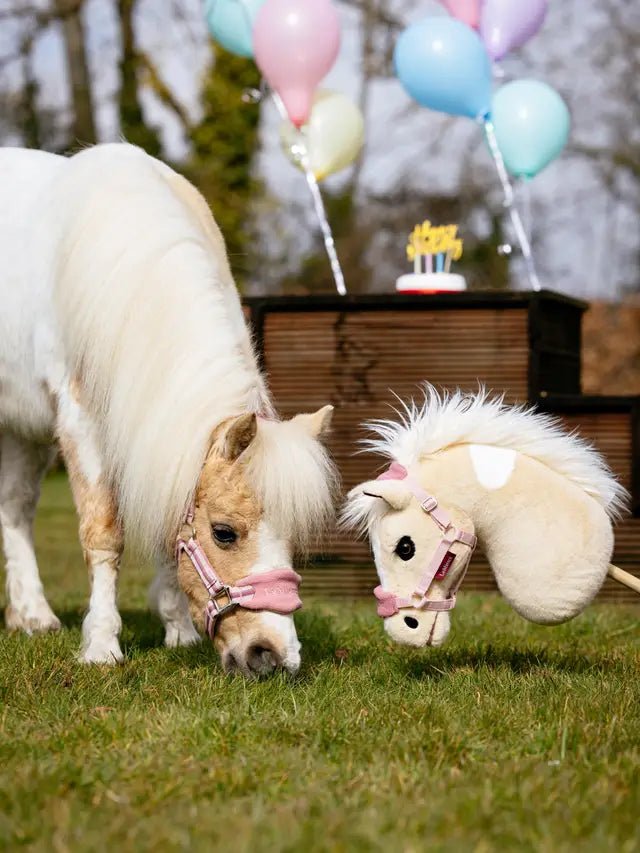 LeMieux Hobby Horse - Nags Essentials