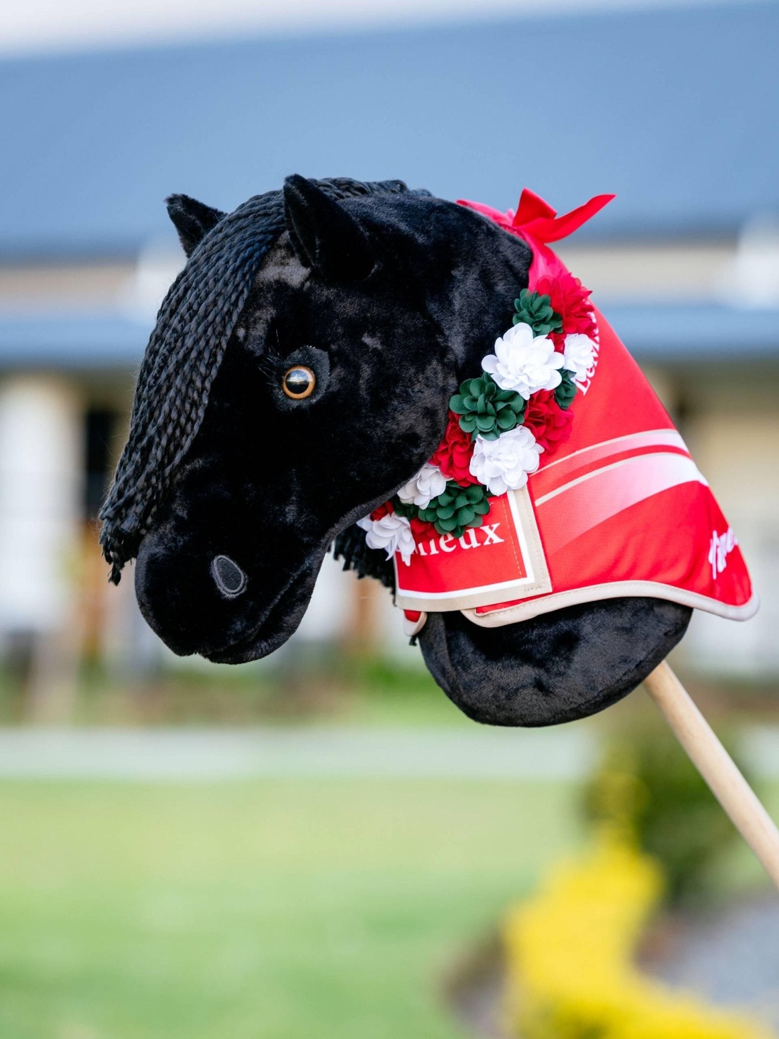 Lemieux Hobby Horse Winners Rug - Red - Nags Essentials