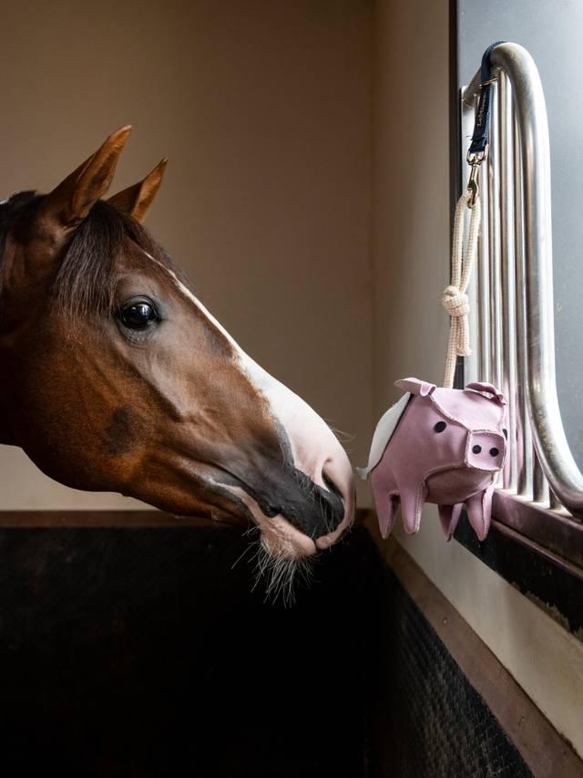 LeMieux Horse Toy - Nags Essentials