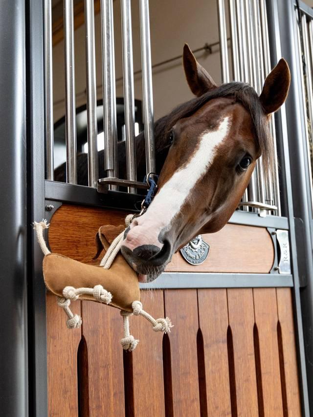 LeMieux Horse Toy - Nags Essentials