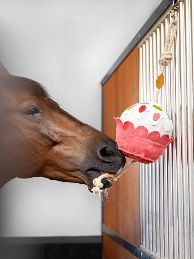 LeMieux Horse Toy - Nags Essentials