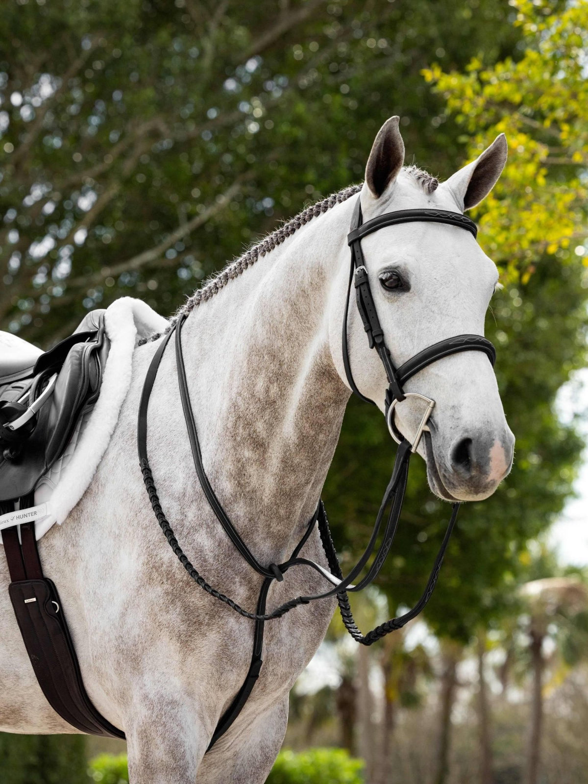LeMieux Hunter Laced Reins with Stitching - Nags Essentials