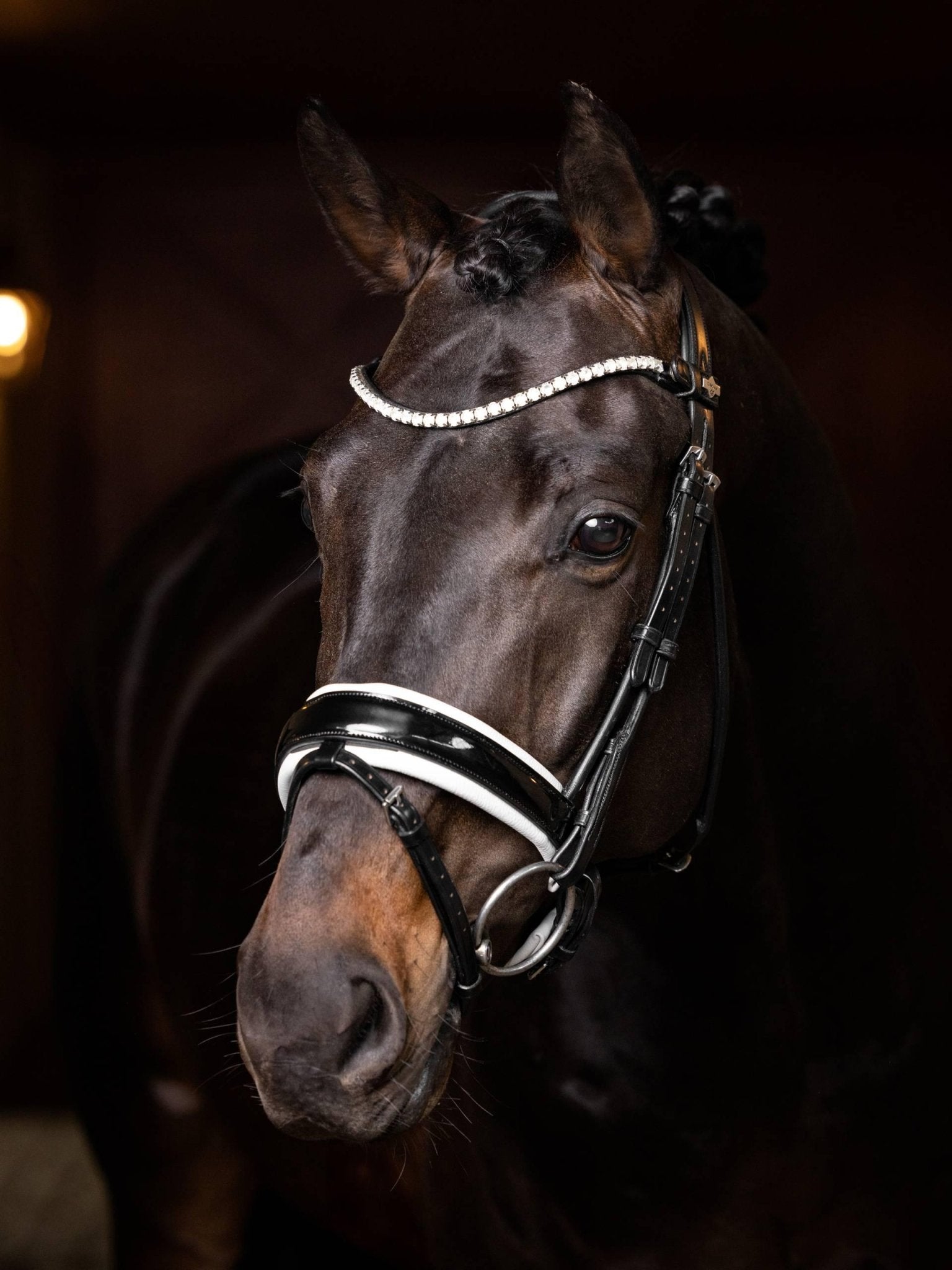 LeMieux Ice Crystal Browband - Nags Essentials