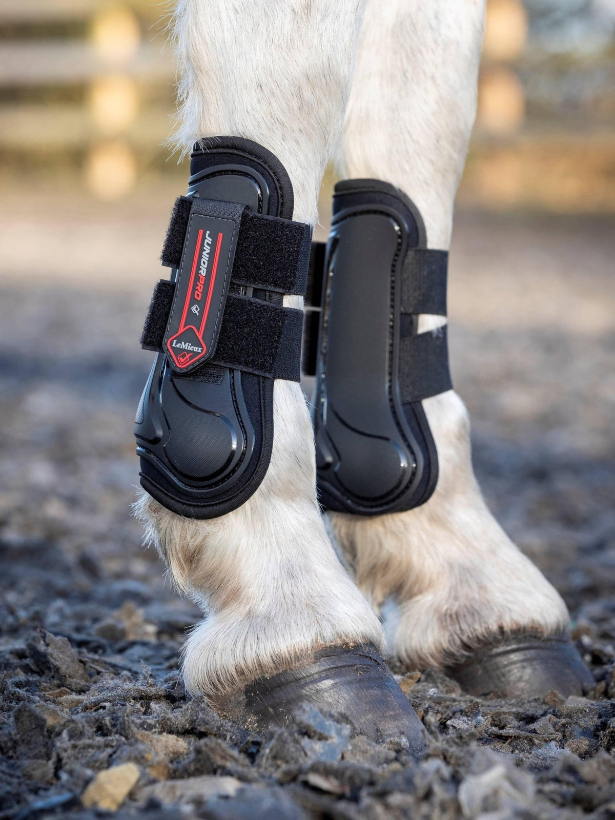 LeMieux Junior Pro Tendon Boots - Black - Nags Essentials