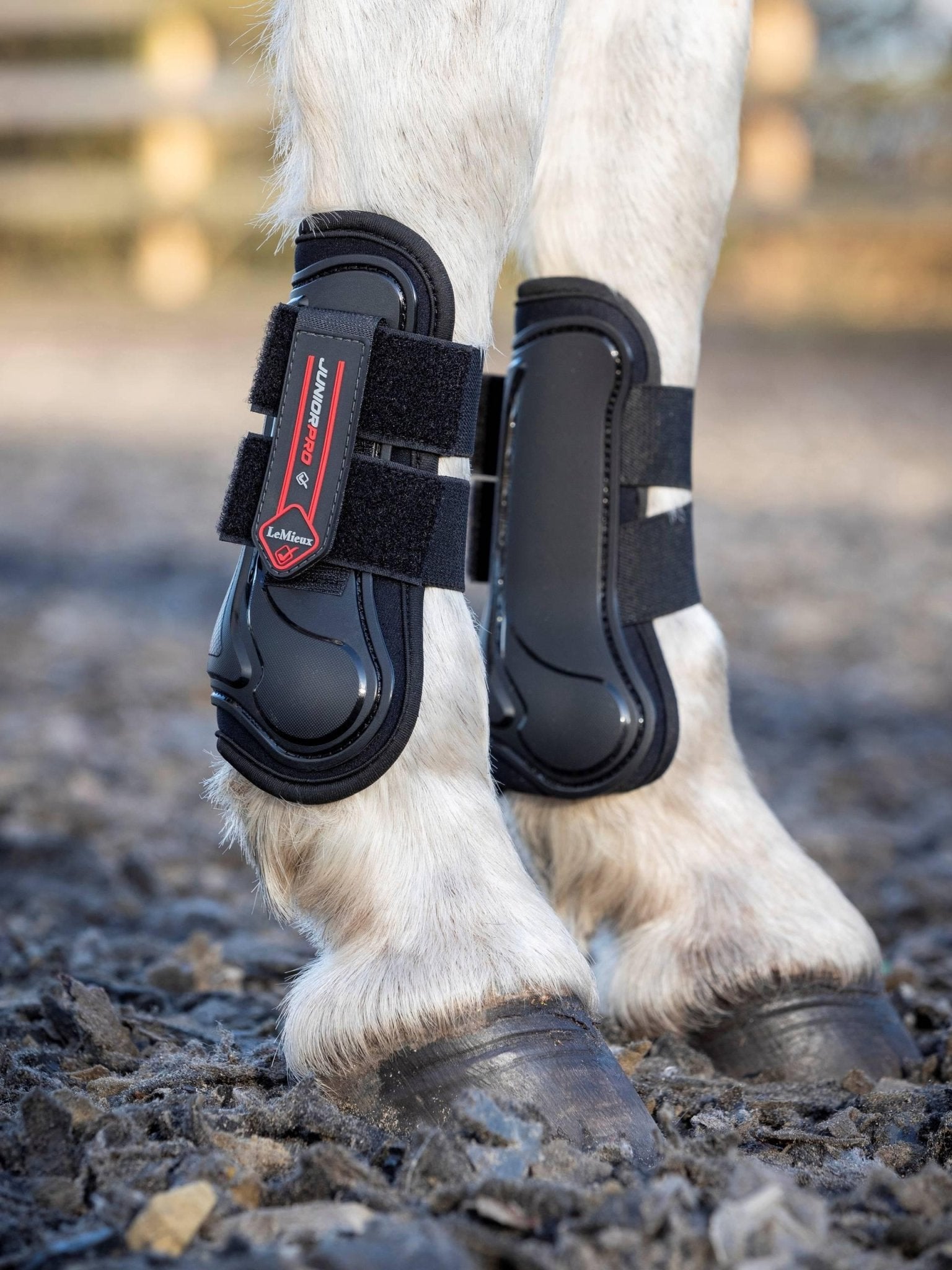 LeMieux Junior Pro Tendon Boots - Black - Nags Essentials