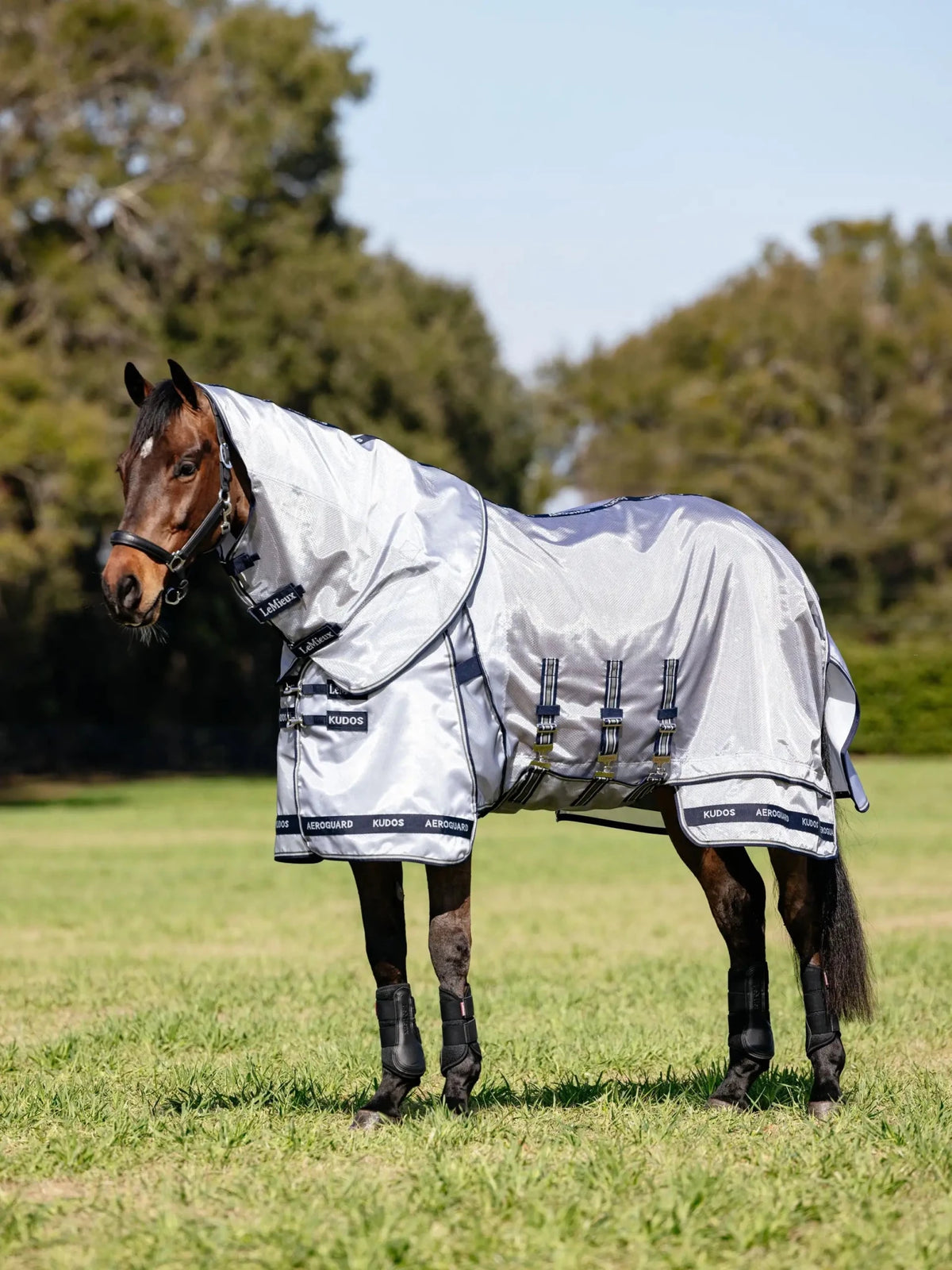 LeMieux Kudos AeroGuard Fly Rug - Silver - Nags Essentials