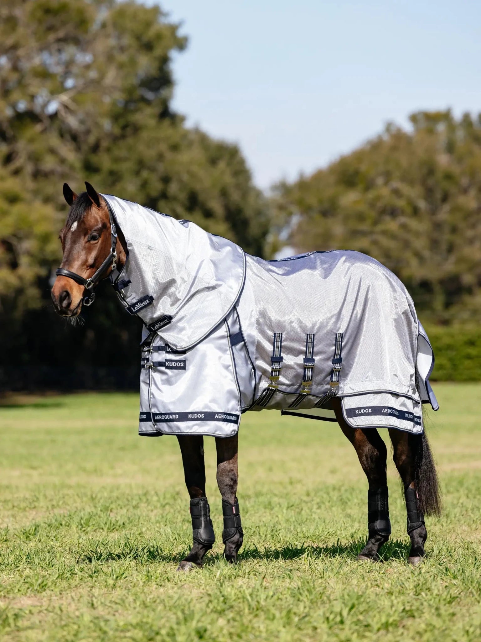 LeMieux Kudos AeroGuard Fly Rug - Silver - Nags Essentials