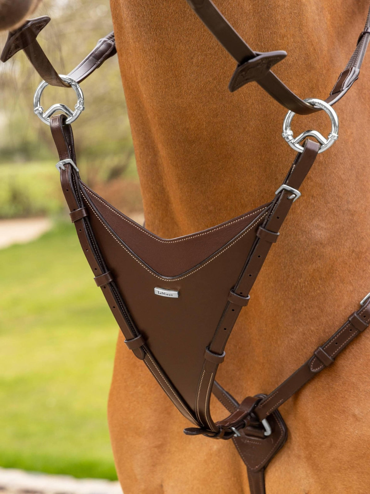 LeMieux Kudos Bib Martingale Attachment - Nags Essentials