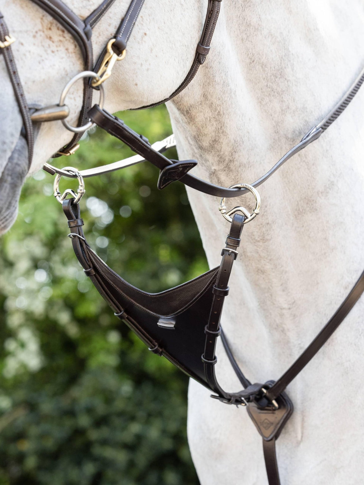 LeMieux Kudos Bib Martingale Attachment - Nags Essentials