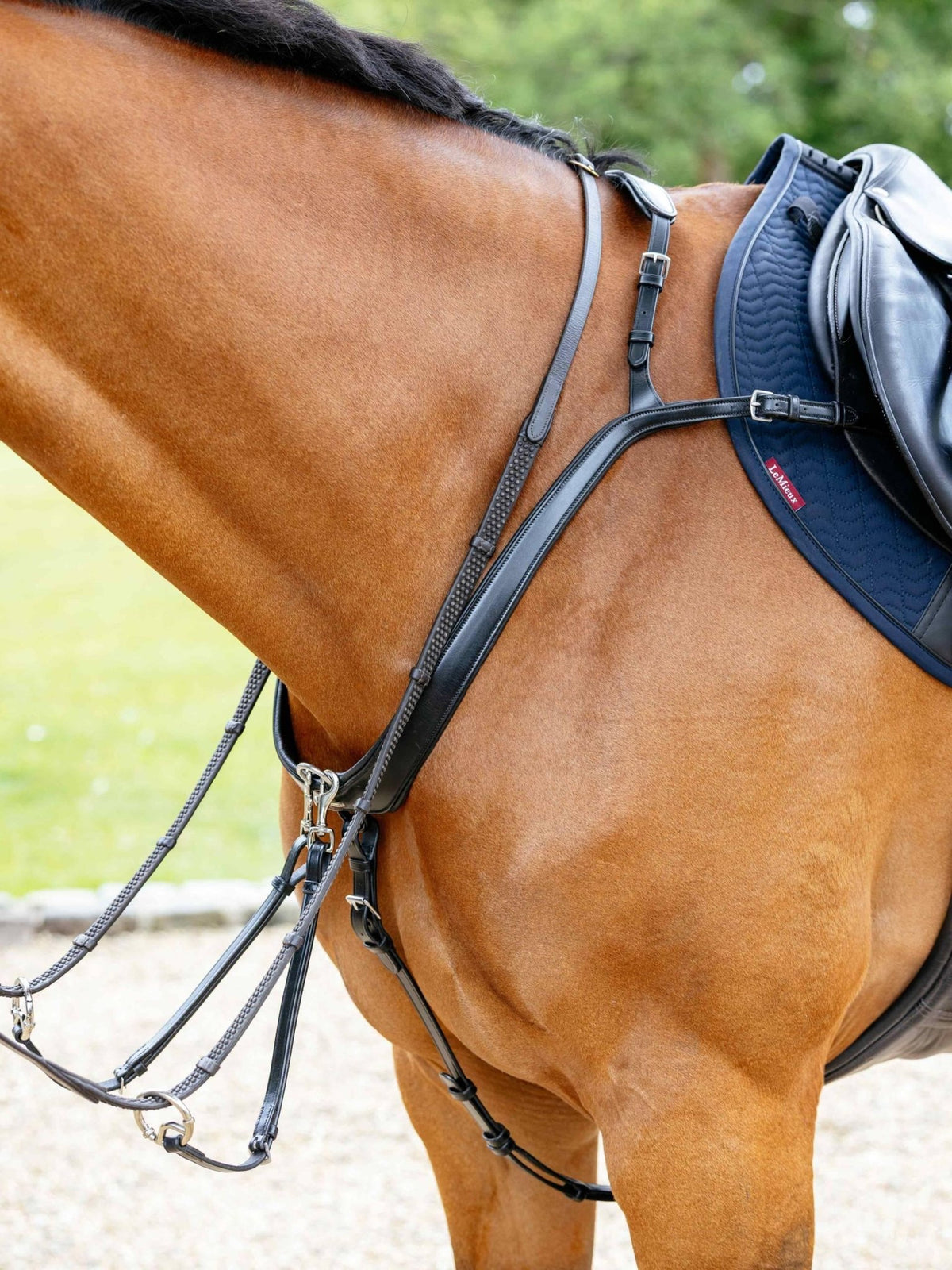 LeMieux Kudos Bridge Breastplate - Nags Essentials