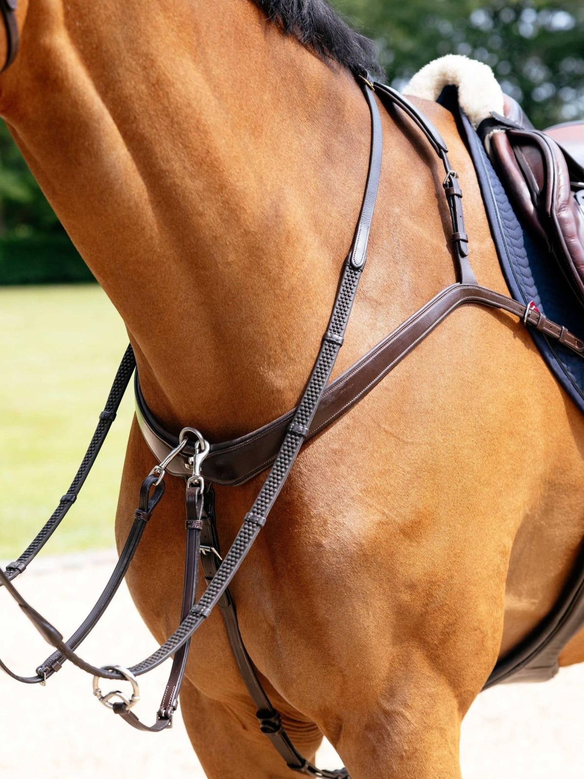LeMieux Kudos Bridge Breastplate - Nags Essentials