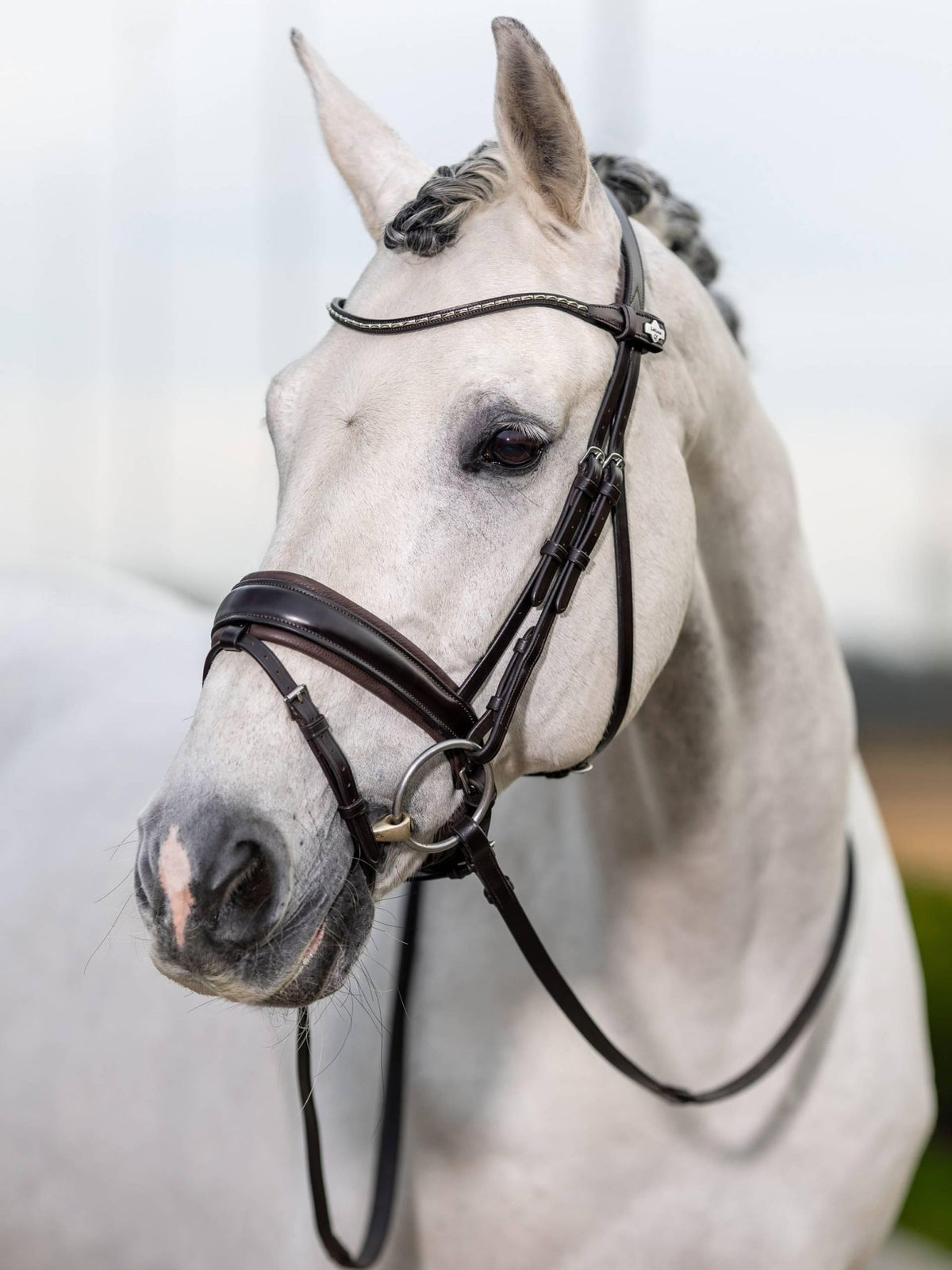 Lemieux Kudos Classic Dressage Bridle - Nags Essentials