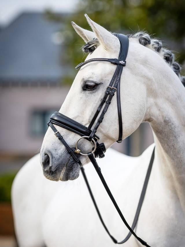 Lemieux Kudos Classic Dressage Bridle - Nags Essentials