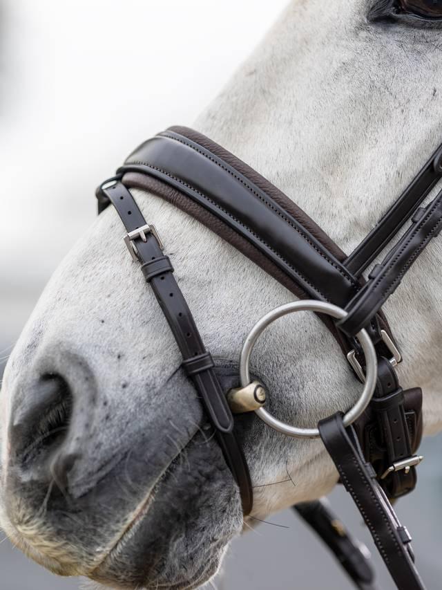 Lemieux Kudos Classic Dressage Bridle - Nags Essentials