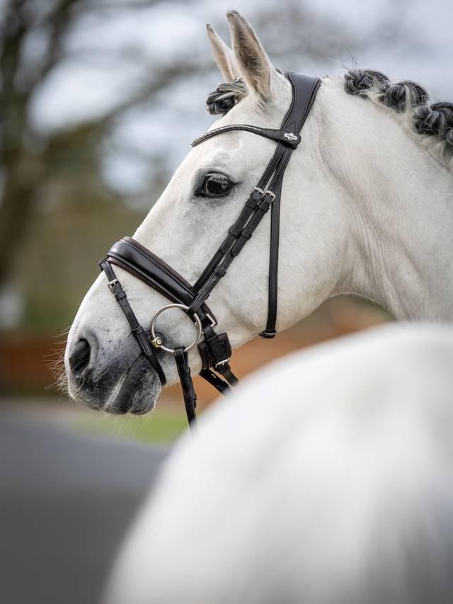 Lemieux Kudos Classic Dressage Bridle - Nags Essentials