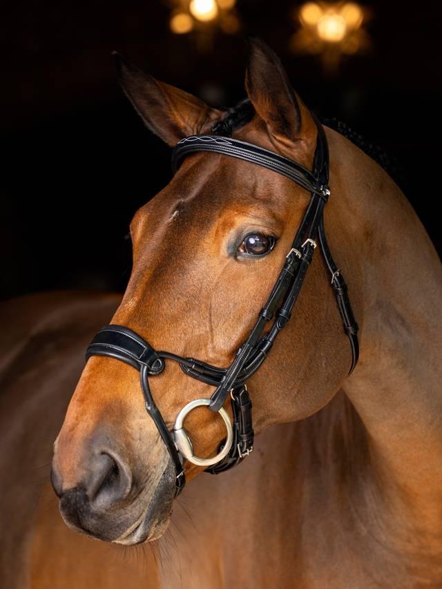 Lemieux Kudos Clear Arc Bridle - Nags Essentials