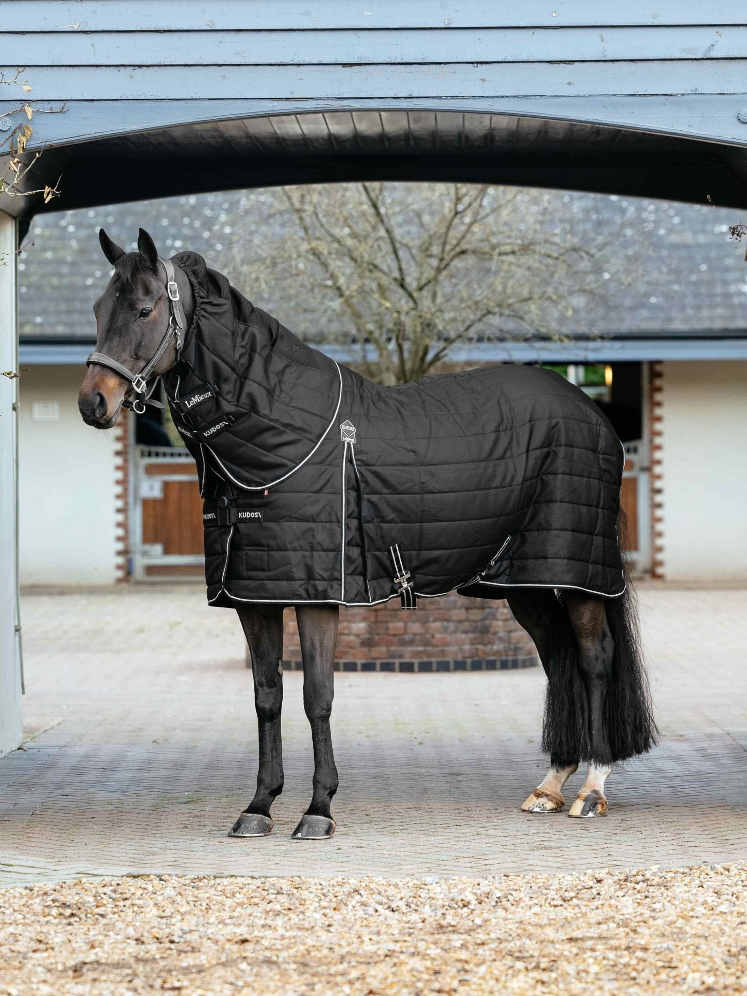 LeMieux Kudos ClimaCore Stable Rug with Neck 200g
