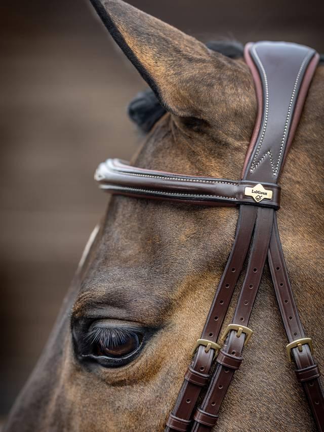 Lemieux Kudos Competition Flash Bridle - Nags Essentials