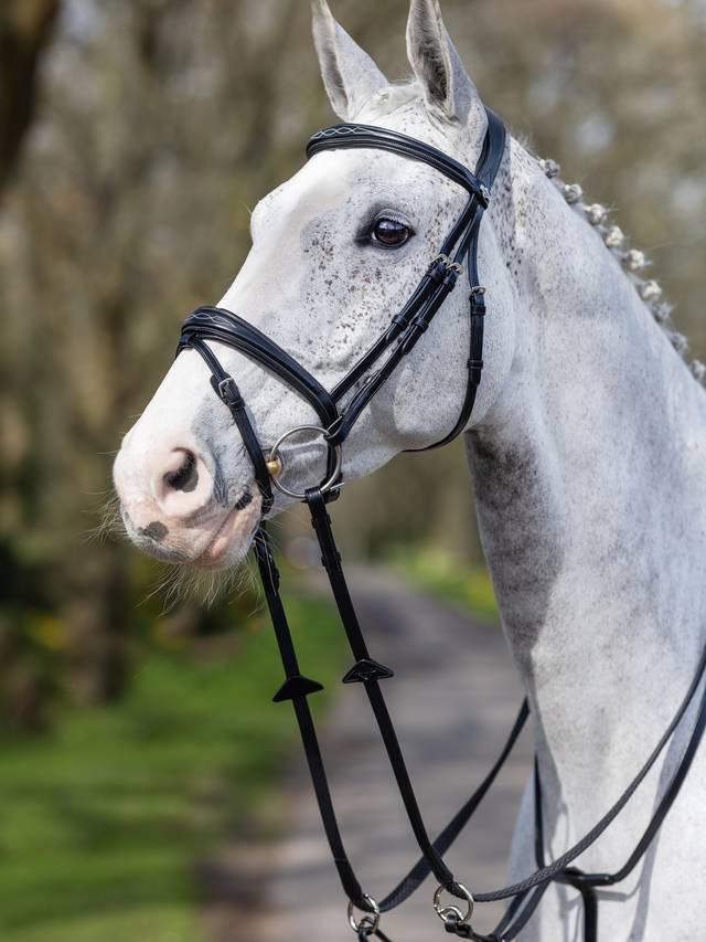 Lemieux Kudos Competition Flash Bridle - Nags Essentials