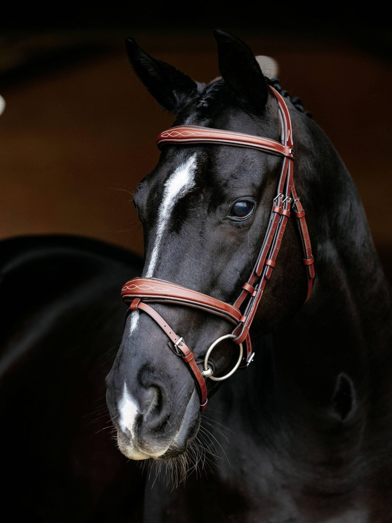 Lemieux Kudos Competition Flash Bridle - Nags Essentials