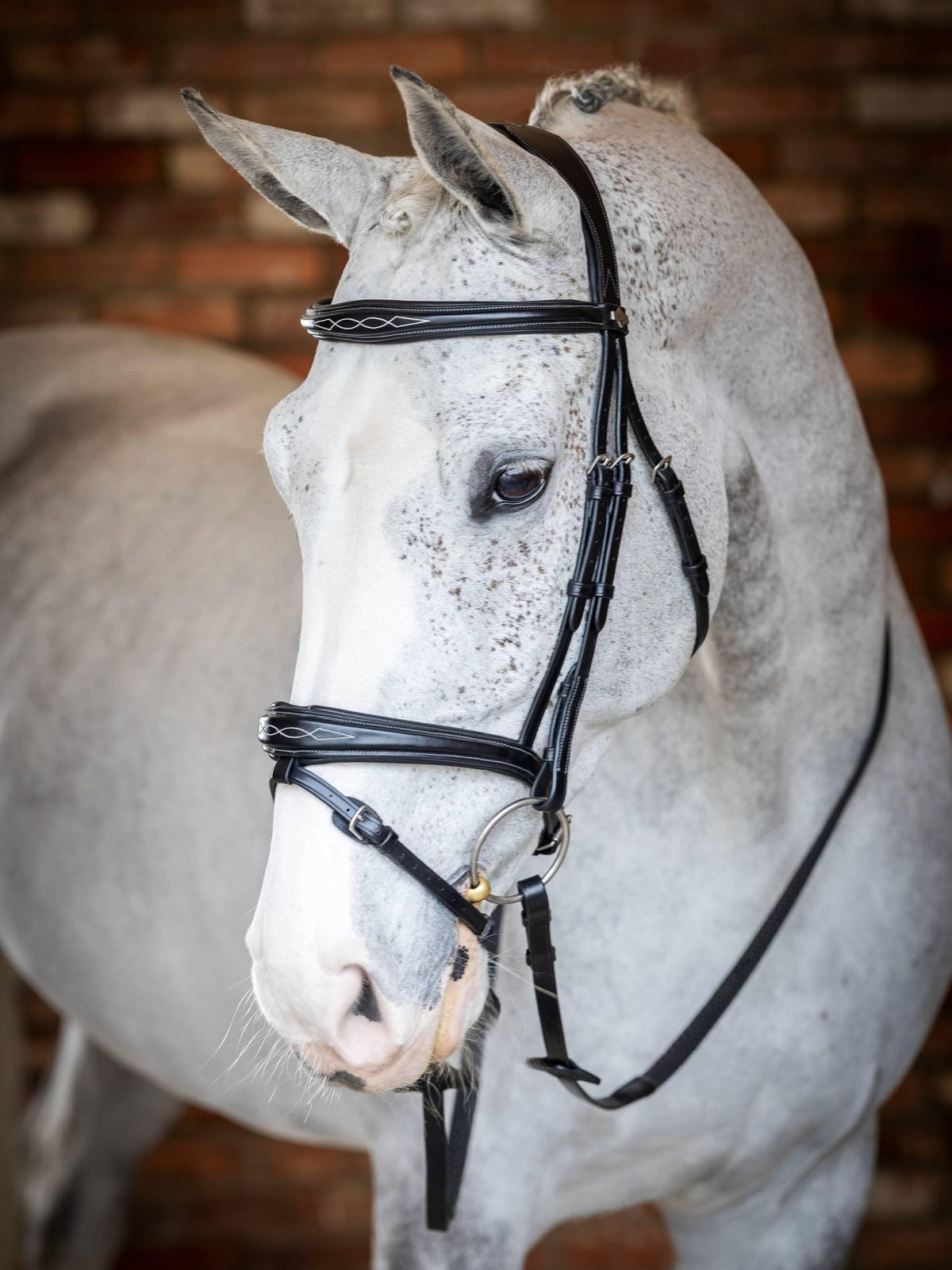 Lemieux Kudos Competition Flash Bridle - Nags Essentials