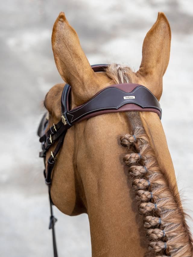 Lemieux Kudos Competition Flash Bridle - Nags Essentials