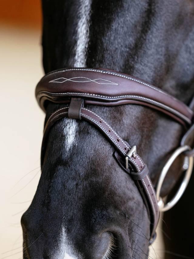 Lemieux Kudos Contour Flash Bridle - Nags Essentials