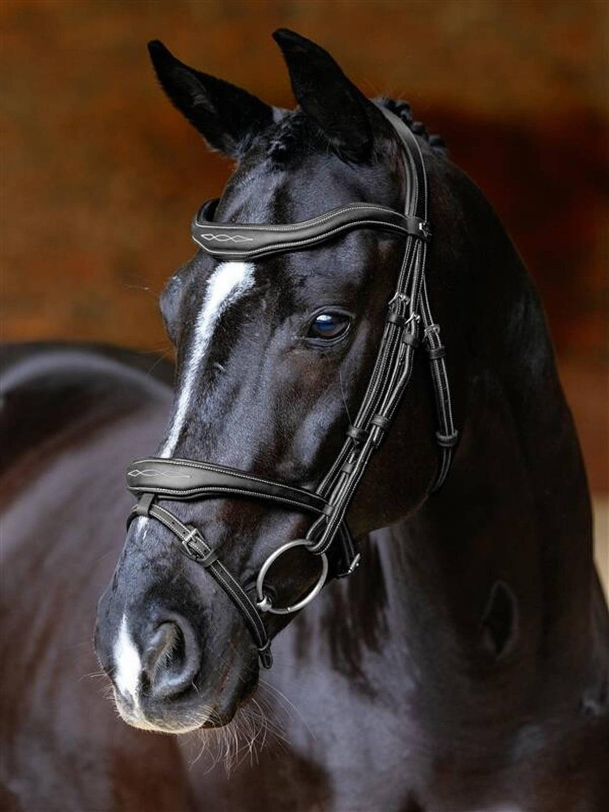 Lemieux Kudos Contour Flash Bridle - Nags Essentials