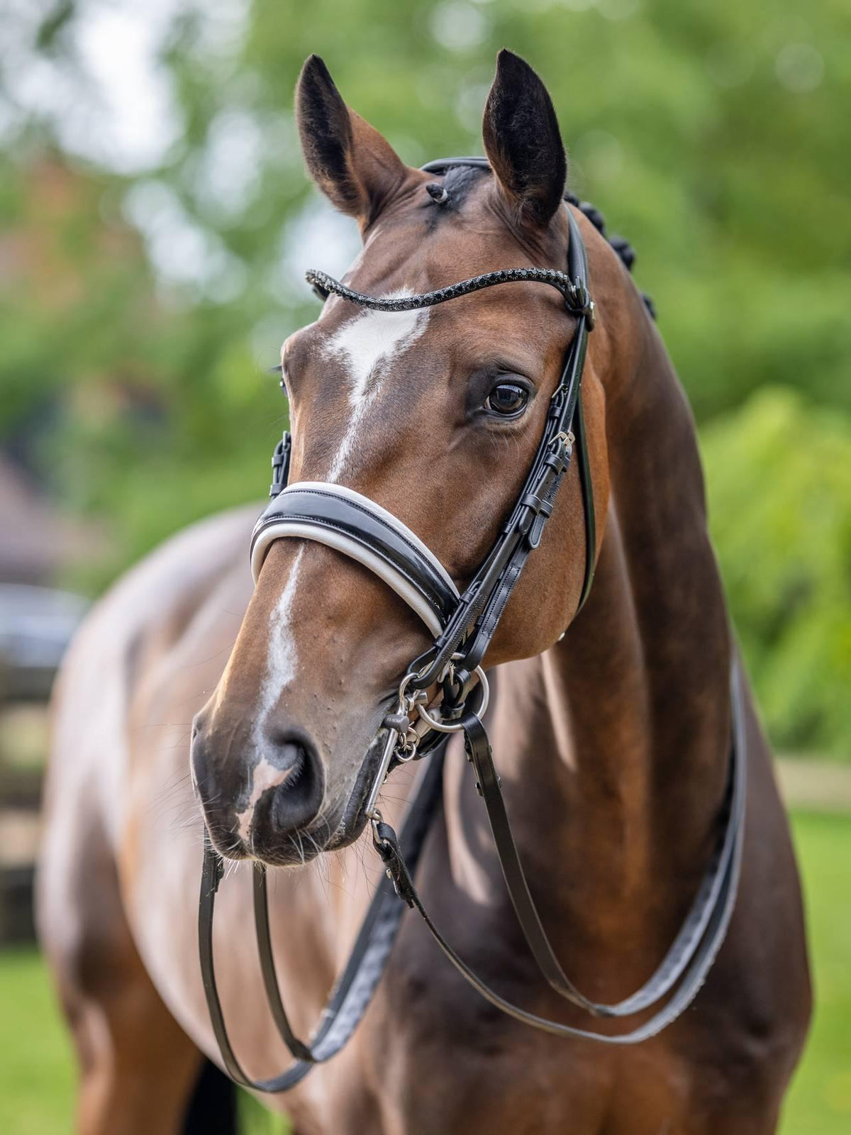 Lemieux Kudos Double Bridle - Nags Essentials