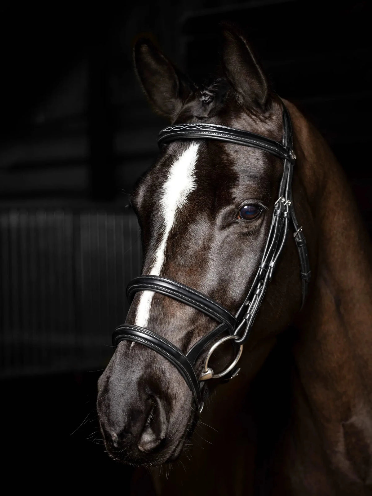 Lemieux Kudos Double Noseband Bridle - Nags Essentials