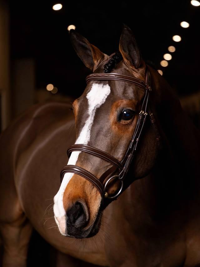 Lemieux Kudos Double Noseband Bridle - Nags Essentials