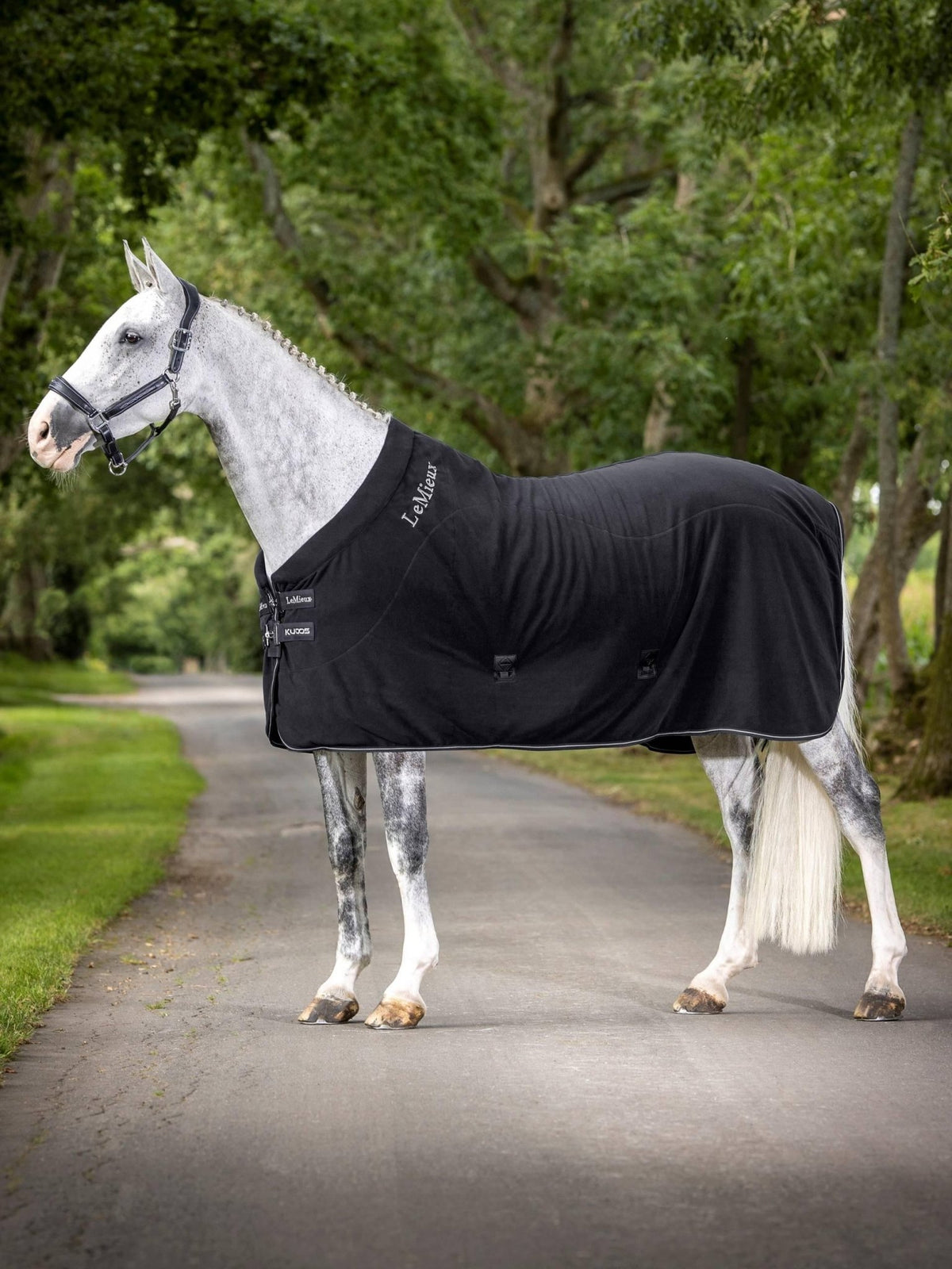 LeMieux Kudos Fleece Cooler Rug - Nags Essentials