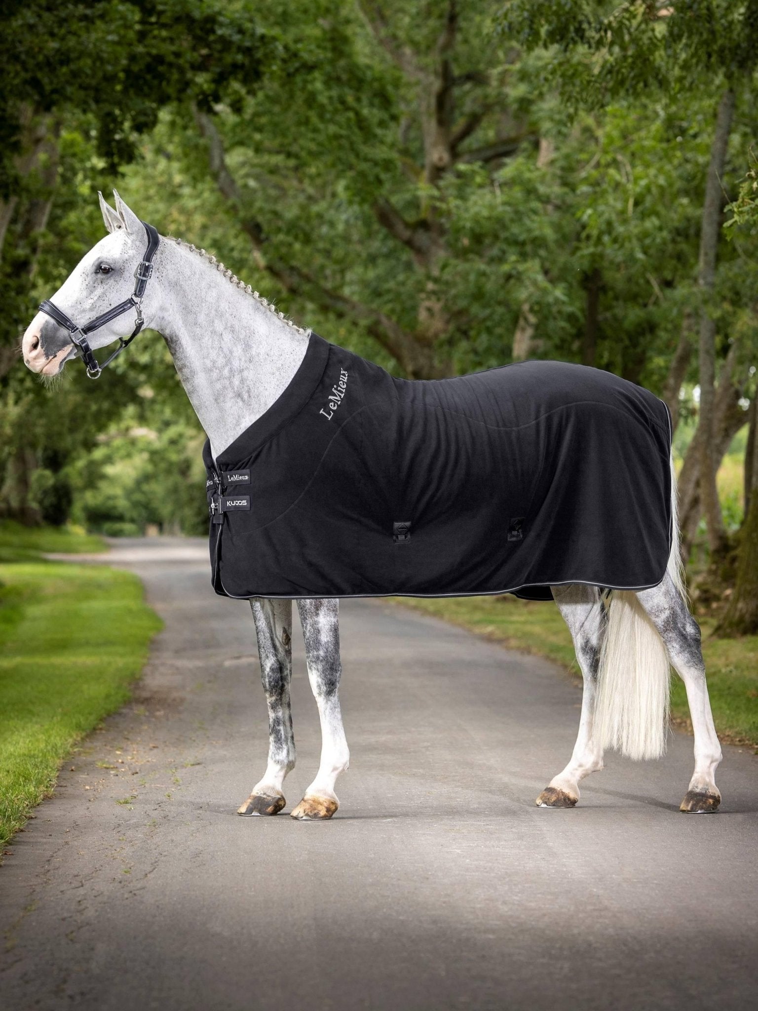 LeMieux Kudos Fleece Cooler Rug - Nags Essentials