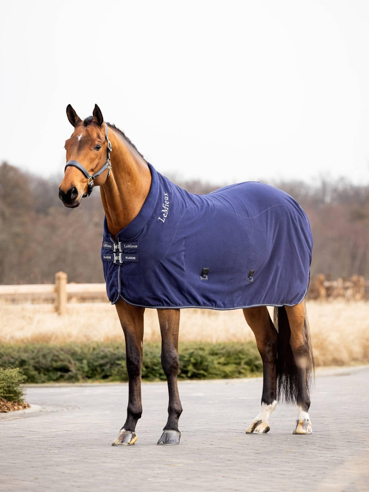 LeMieux Kudos Fleece Cooler Rug - Nags Essentials