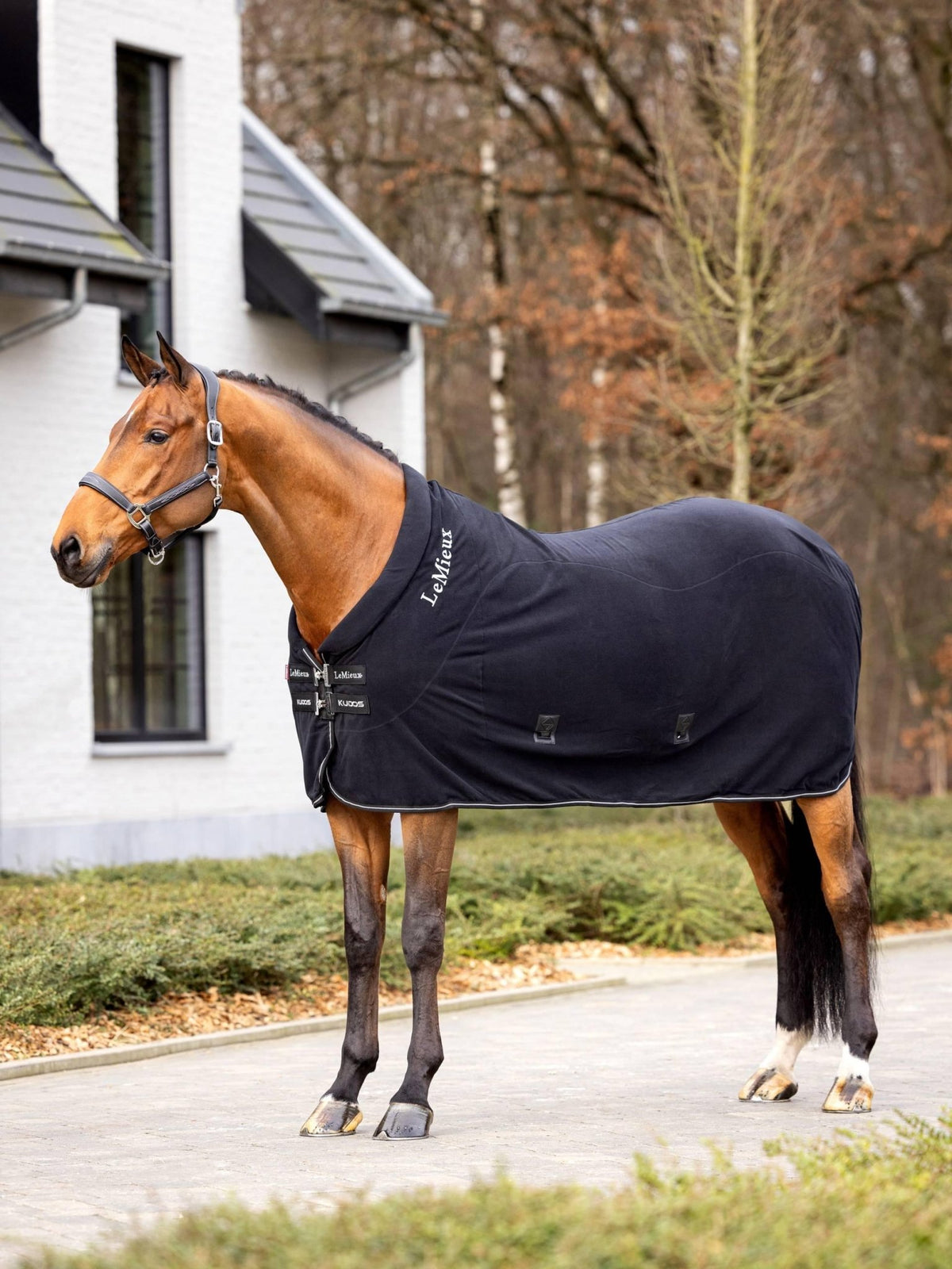 LeMieux Kudos Fleece Cooler Rug - Nags Essentials