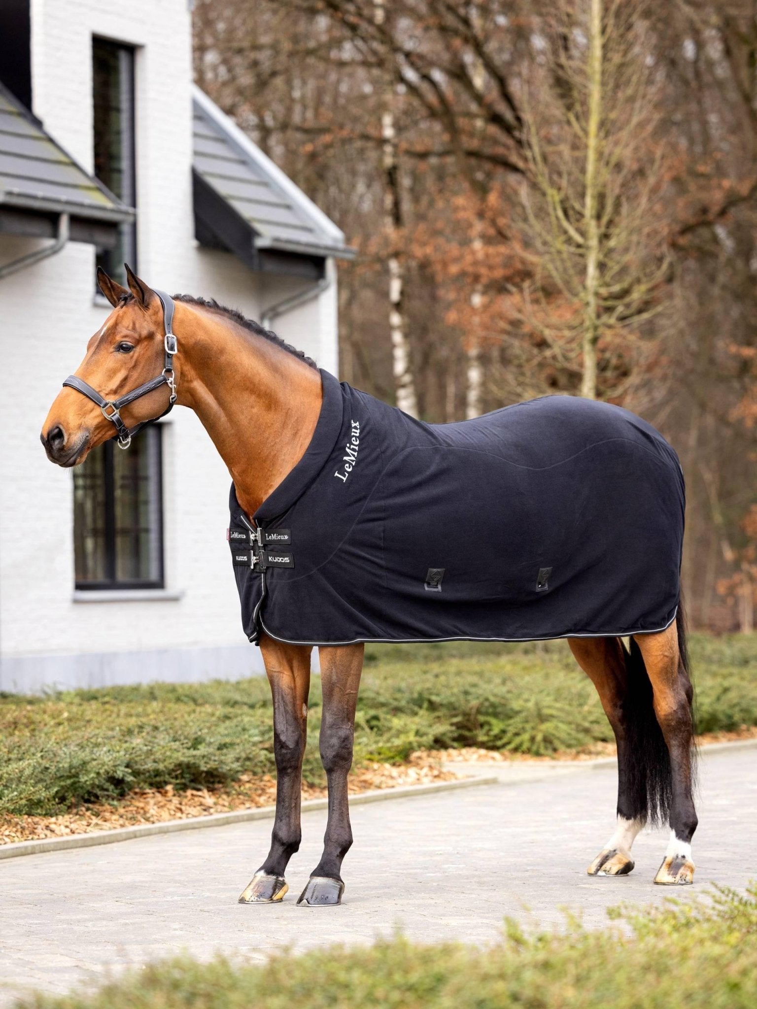 LeMieux Kudos Fleece Cooler Rug - Nags Essentials