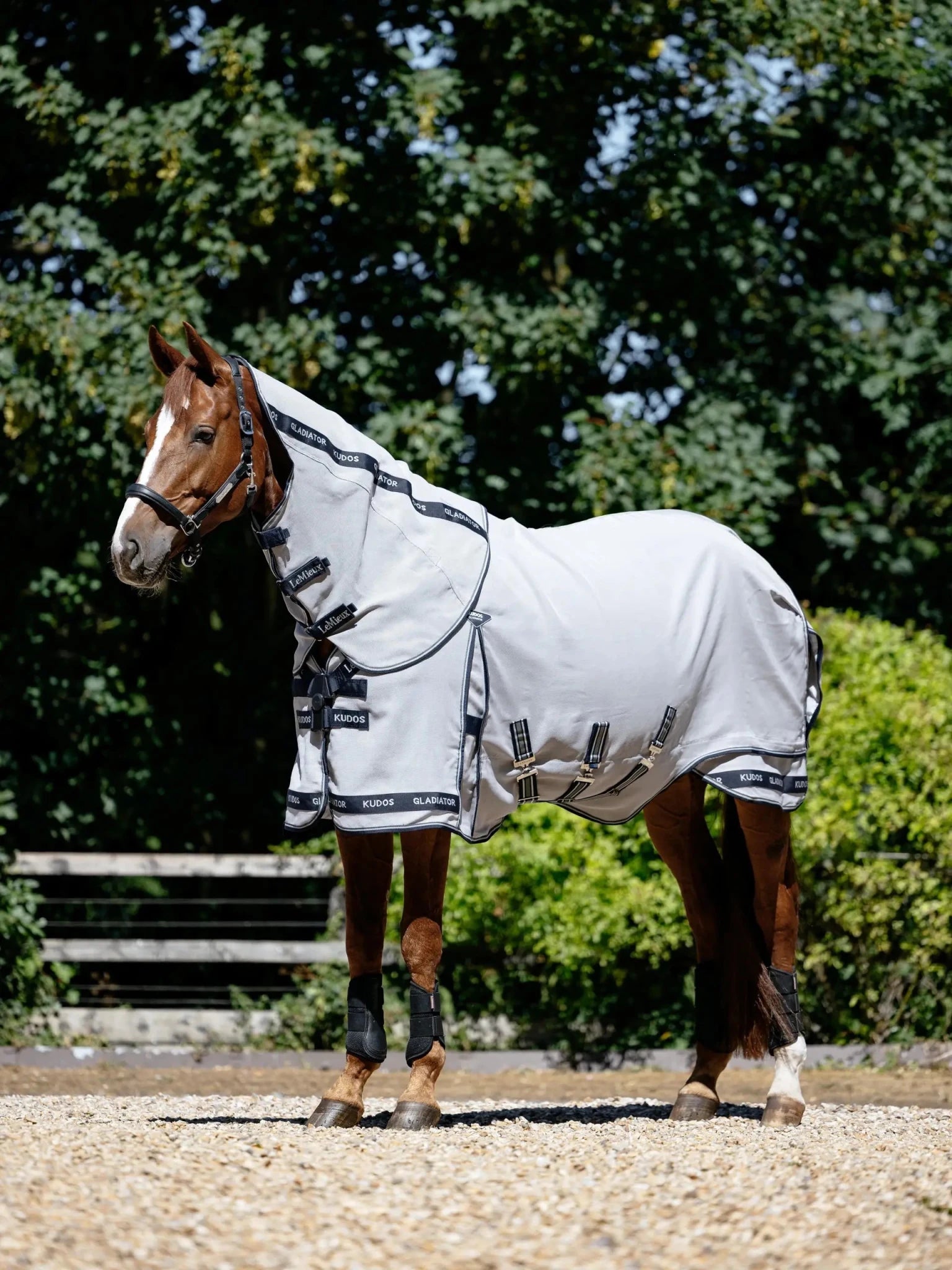 Lemieux Kudos Gladiator Fly Rug Grey - Nags Essentials