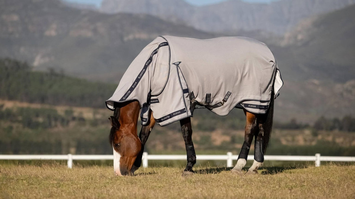 Lemieux Kudos Gladiator Fly Rug Grey - Nags Essentials