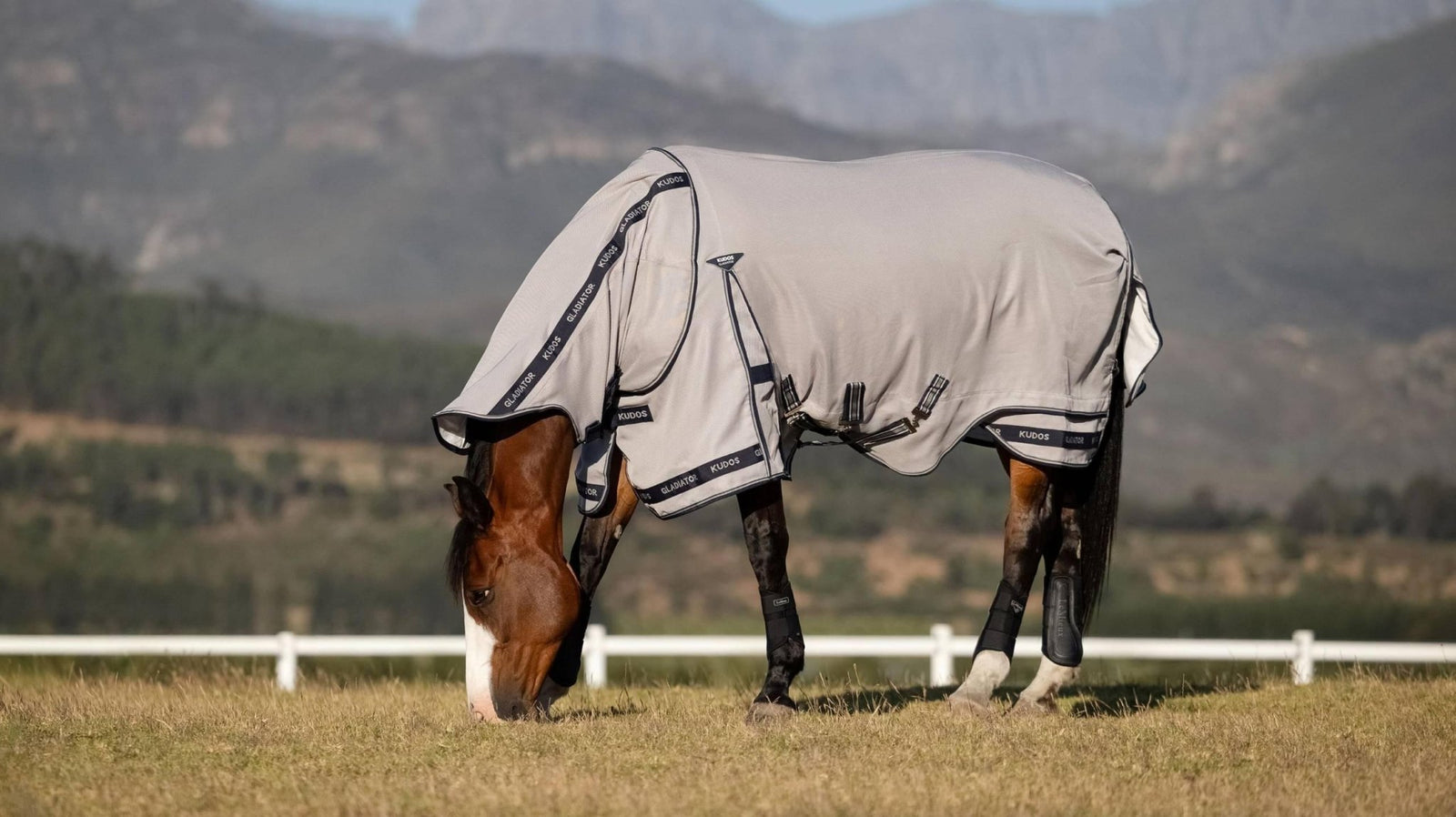 Lemieux Kudos Gladiator Fly Rug Grey - Nags Essentials
